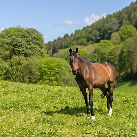 Apartment Wilke Mühle